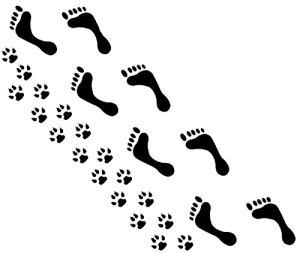FOOTSTEPS-small