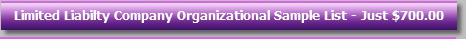 Limited Liabilty Company Organizational Sample List