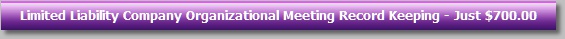 Limited Liability Company Organizational Meeting Record Keeping - Just $700.00